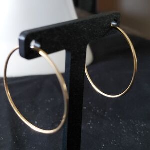Chic Gold Hoop Earrings